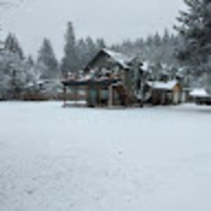 Meet your Posher, Bambang